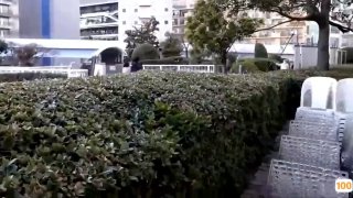 一区登录不上🈲成人久久精品视频🈲朝桐光一本道无码种子